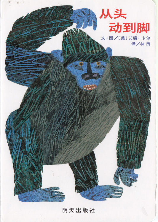 From Head To Toe 从头动到脚