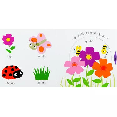 Board Book: My Garden 我的花園