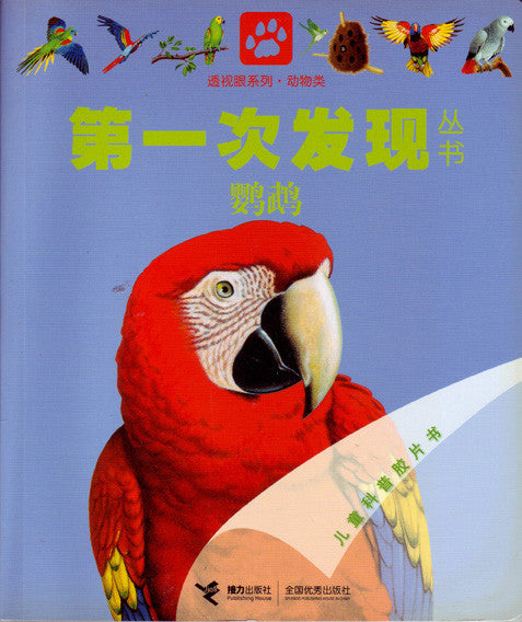 First Discovery: Parrot 第一次发现丛书-鹦鹉