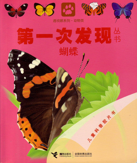 First Discovery: Butterfly 第一次发现丛书-蝴蝶