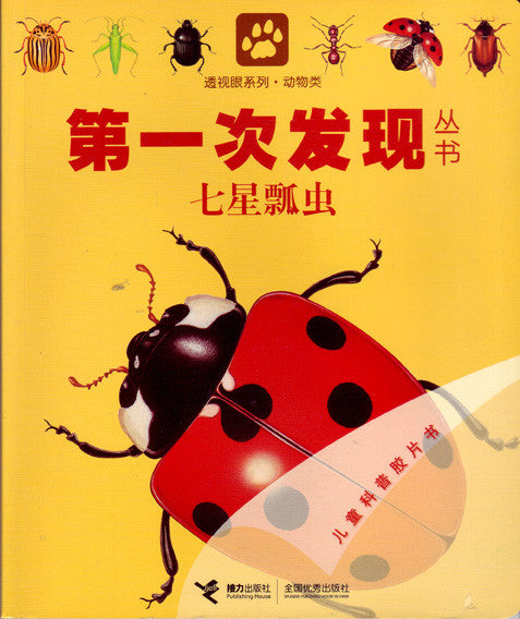 First Discovery: Ladybug 第一次发现丛书-七星瓢虫