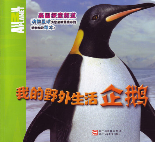 Animal Planet: My Wild Life, Penguins	我的野外生活-企鹅